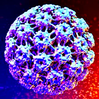 HPV Enfeksiyonları, Genital Siğil